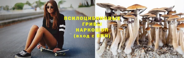 наркотики Бородино