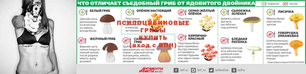 ПСИЛОЦИБИНОВЫЕ ГРИБЫ Верхний Тагил