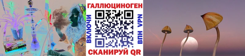 Псилоцибиновые грибы Cubensis Северск
